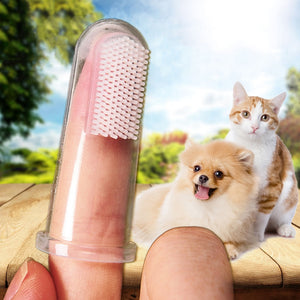 Finger Toothbrush for Your Dog